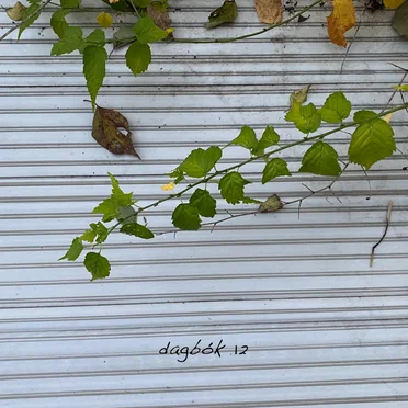 dagbók12 by Tatsuya Shimazaki - album cover