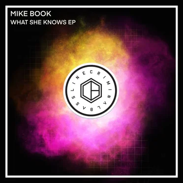 What She Knows (KANT Remix) by Mike Book - album cover