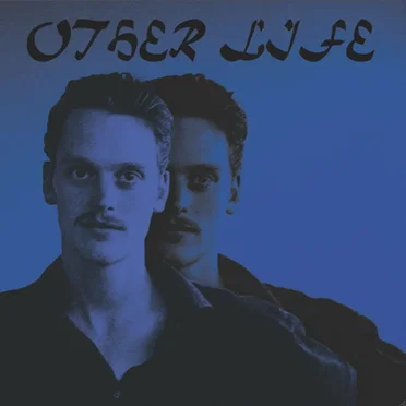 Other Life by Sean Nicholas Savage - album cover