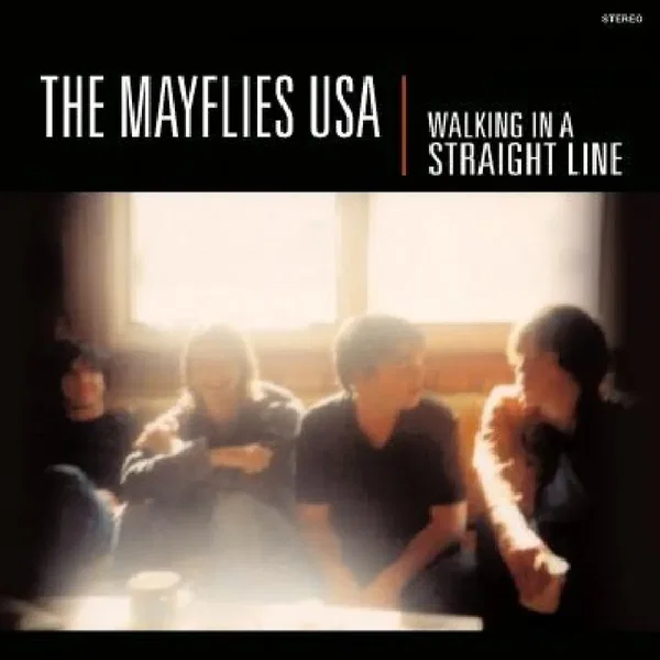 Walking in a Straight Line