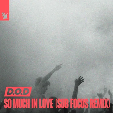 So Much in Love (Sub Focus remix)