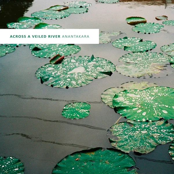 Across a Veiled River