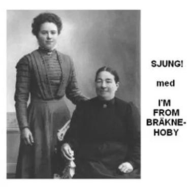 Sjung! Med I'm From Bräkne-Hoby by Various Artists - album cover