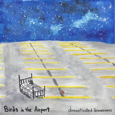 Domesticated Drowsiness by Birds in the Airport - album cover