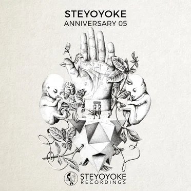 Steyoyoke Anniversary, Vol. 05 by Various Artists - album cover