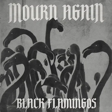 Black Flamingos