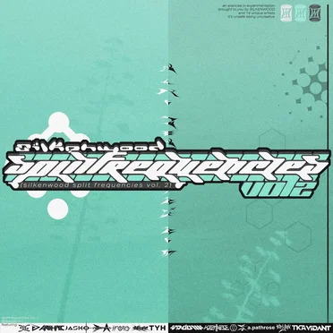 SPLIT FREQUENCIES, Vol. 2 by Various Artists - album cover