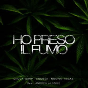 ho preso il fumo