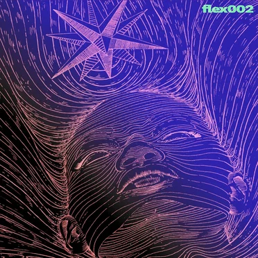 Flex002 by Various Artists - album cover