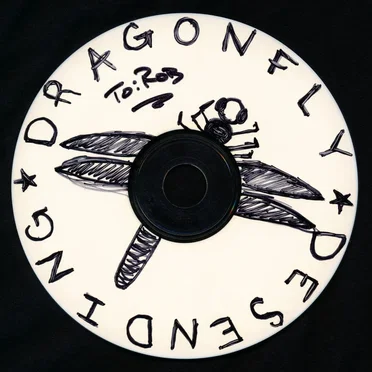 Live at Rock4Reed by Dragonfly Descending - album cover