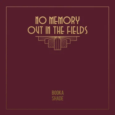 No Memory / Out in the Fields