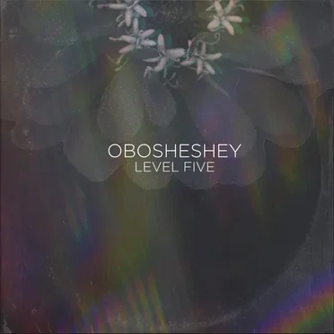 Obosheshey by Level Five - album cover