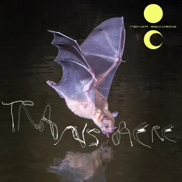 Transaere by Various Artists - album cover