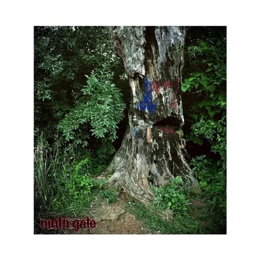 demo. by ninth gate - album cover