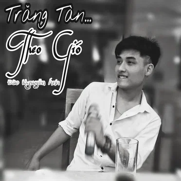 Trăng Tàn Theo Gió by Đào Nguyễn Ánh - album cover