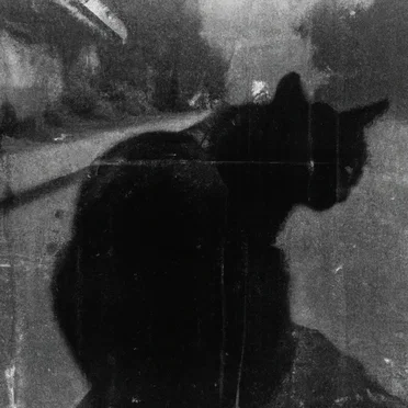 It Looks at You IV