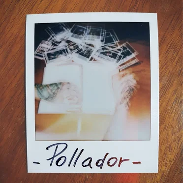 Pollador by Forecast - album cover