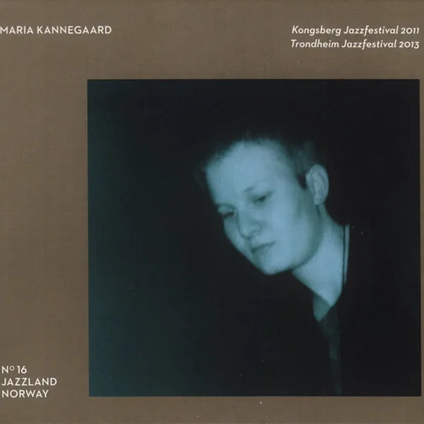 Kongsberg Jazzfestival 2011, Trondheim Jazz Festival 2013