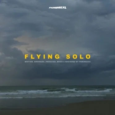 Flying Solo