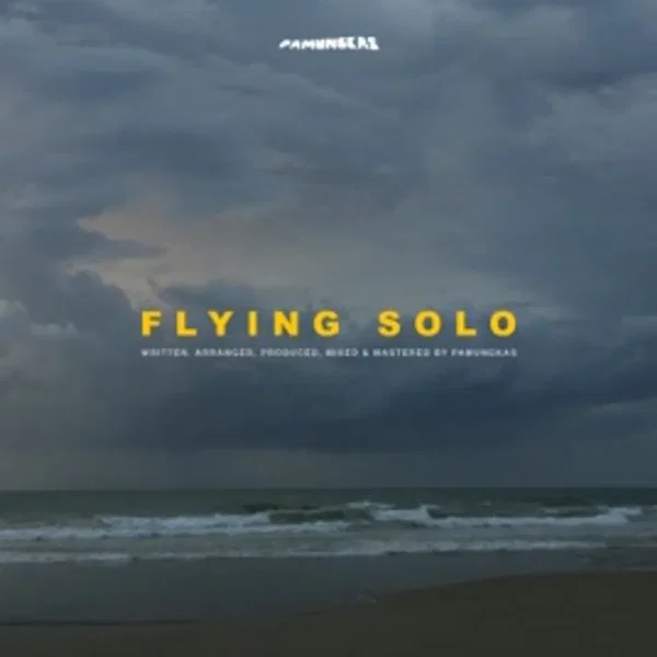 Flying Solo