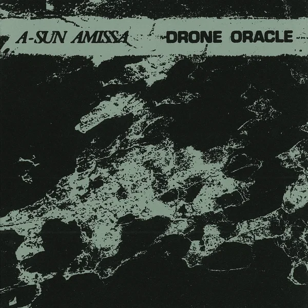 Drone Oracle