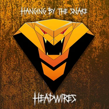 Hanging by the Snake by Headwires - album cover