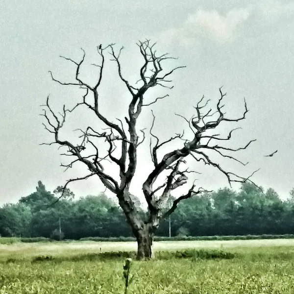 In Isolation