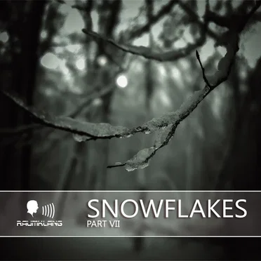 Snowflakes VII by Various Artists - album cover