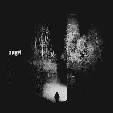 Angel by THE ANSWER LIES IN THE BLACK VOID - album cover