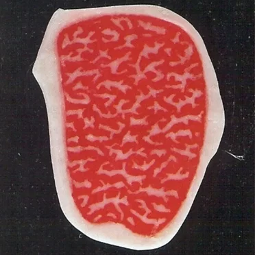 Meat Mix Demo