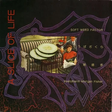 A Slice of Life by Various Artists - album cover
