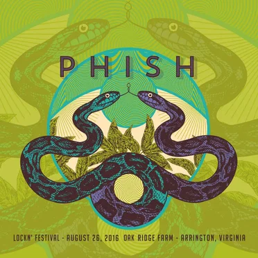 2016‐08‐26: Lockn’ Festival, Arrington, VA, USA