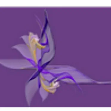 Butterfly Orchid