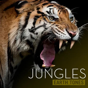 Jungles by Earth Tones - album cover