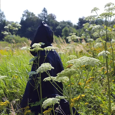 COMMENCEMENT by Police des moeurs - album cover