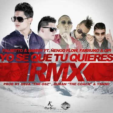 Yo sé que tú quieres (remix)