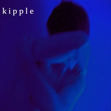 The Magical Tree and the Land of Plenty by Kipple - album cover