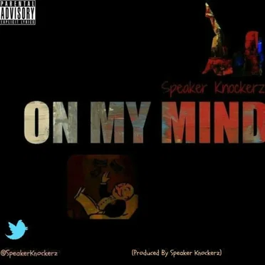 Speaker Knockerz
