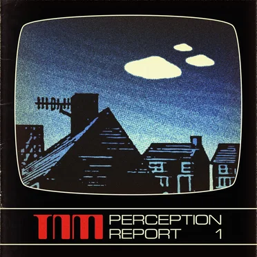 Perception Report 1