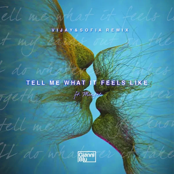 Tell Me What It Feels Like (Vijay & Sofia remix)