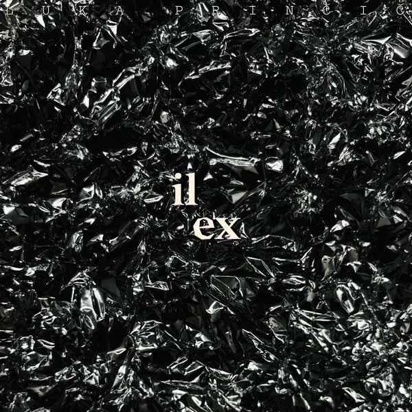 ilex