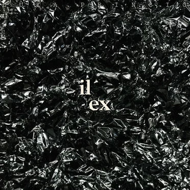 ilex