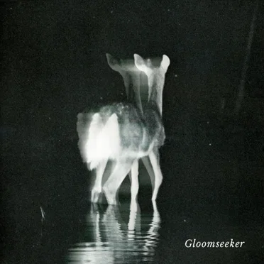 Gloomseeker by Gloomseeker - album cover