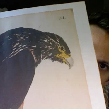 Buteo Buteo by Jonathan Meiburg - album cover