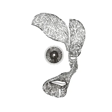 Cogito Ergo Sum