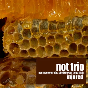 Injured by NOT TRIO - album cover