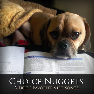 Choice Nuggets: A Dog’s Favorite Virt Songs