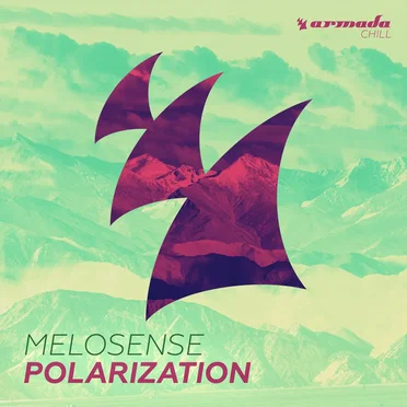 Polarization