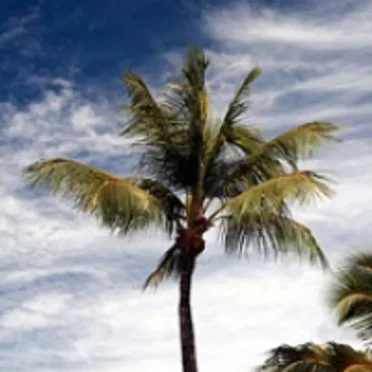 #4: Vacations by This American Life - album cover