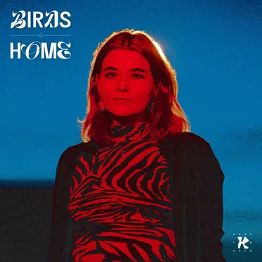 Home by Birds - album cover